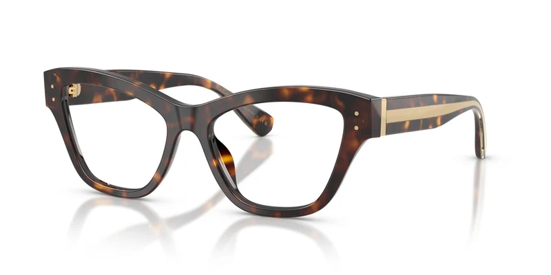 Dolce & Gabbana DG3448 502 54