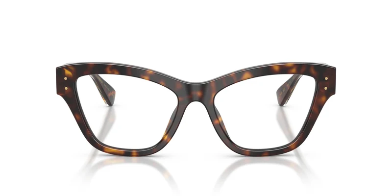 Dolce & Gabbana DG3448 502 54