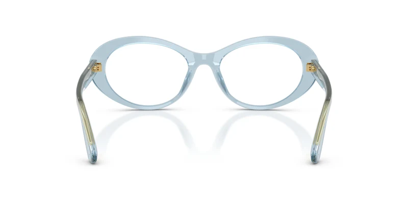 Dolce & Gabbana DG3450 3134 53