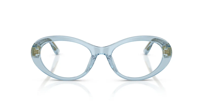 Dolce & Gabbana DG3450 3134 53
