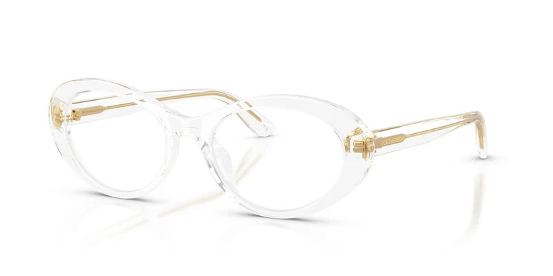 Dolce & Gabbana DG3450 3133 53