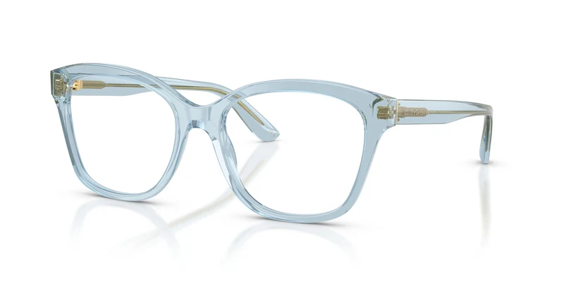 Dolce & Gabbana DG3451 3134 56