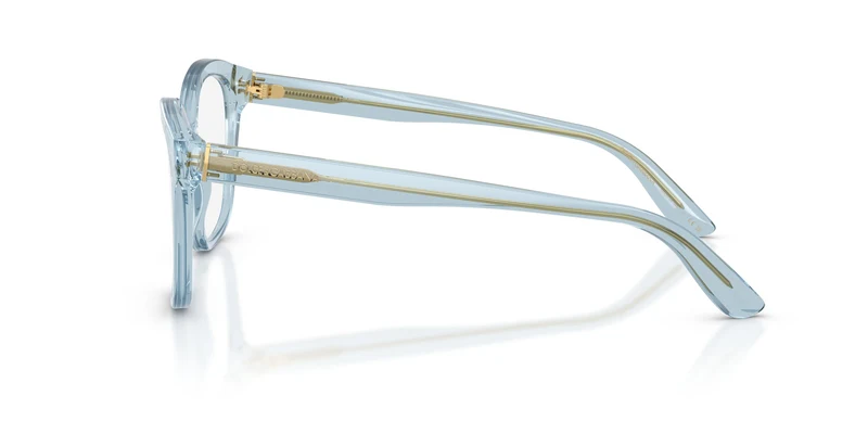 Dolce & Gabbana DG3451 3134 56