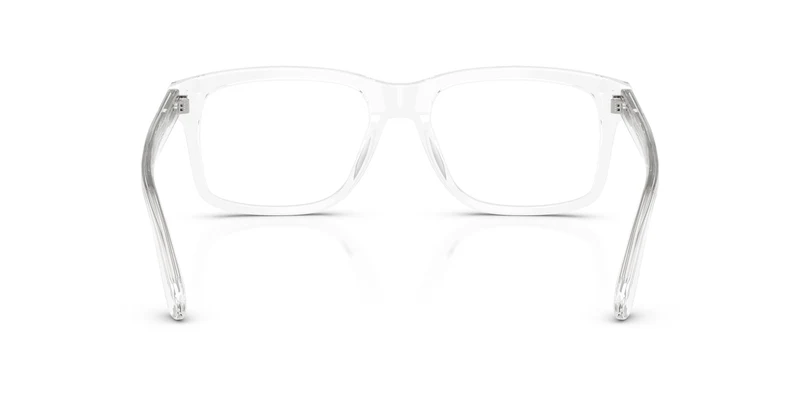 Dolce & Gabbana DG3453 3133 53