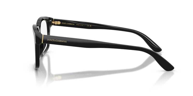 Dolce & Gabbana DG3453 501 55