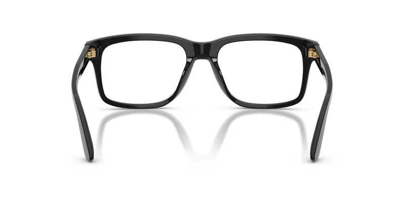 Dolce & Gabbana DG3453 501 55