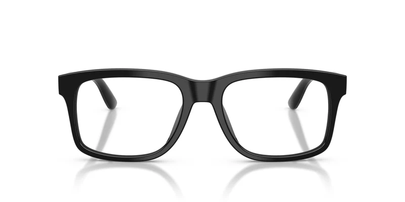 Dolce & Gabbana DG3453 501 55