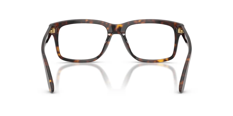 Dolce & Gabbana DG3453 502 53
