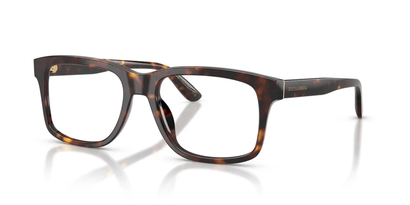 Dolce & Gabbana DG3453 502 55