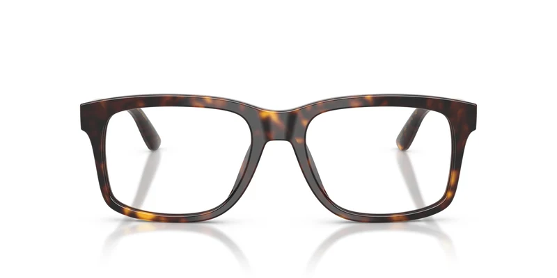 Dolce & Gabbana DG3453 502 55
