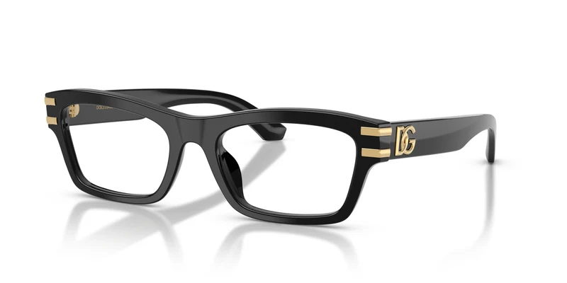 Dolce & Gabbana DG3454 501 54