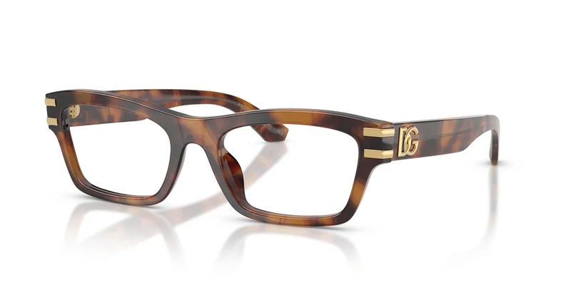 Dolce & Gabbana DG3454 3497 54