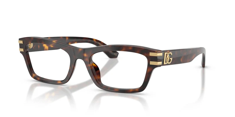 Dolce & Gabbana DG3454 502 54