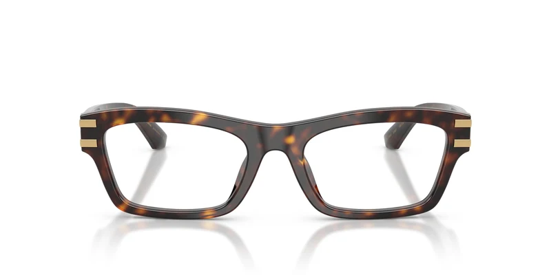 Dolce & Gabbana DG3454 502 54