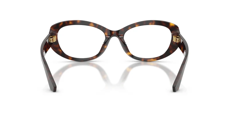 Dolce & Gabbana DG3455 502 54