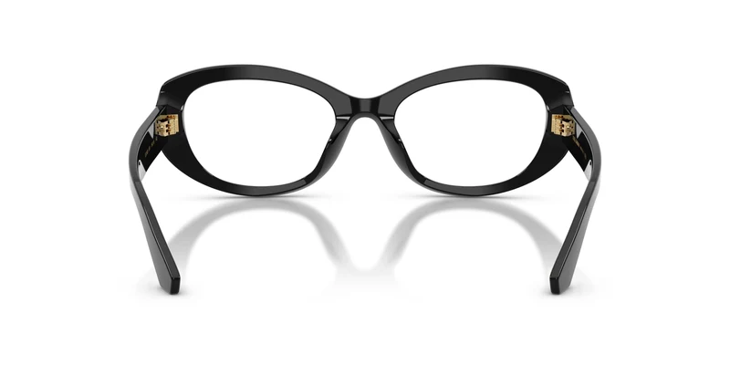 Dolce & Gabbana DG3455 501 54