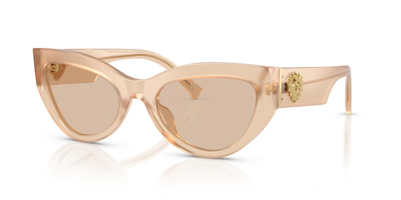 Dolce & Gabbana DG4536 308993 55