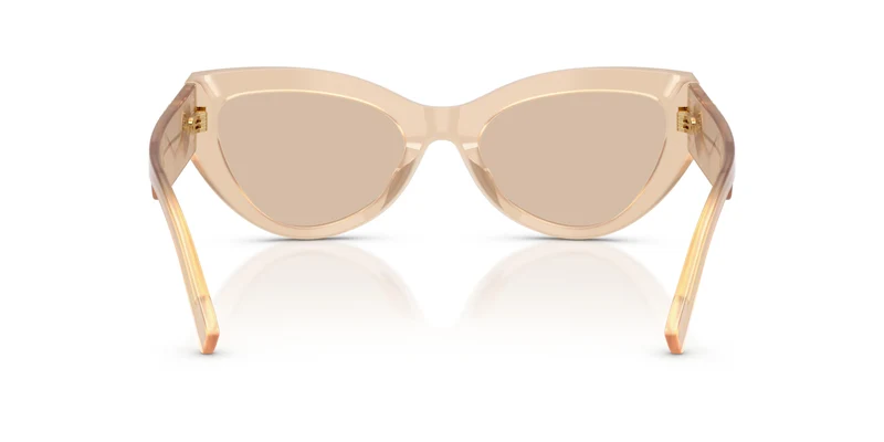 Dolce & Gabbana DG4536 308993 55
