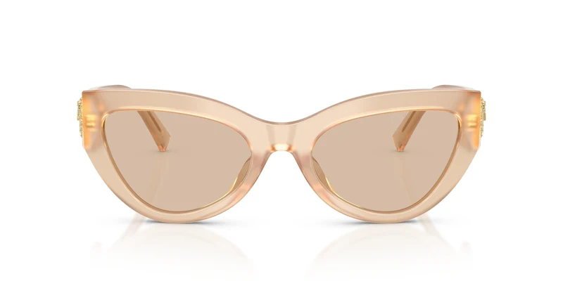 Dolce & Gabbana DG4536 308993 55