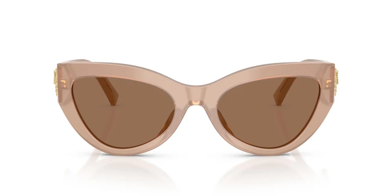 Dolce & Gabbana DG4536 304273 55