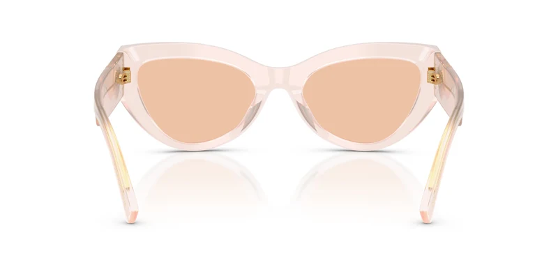 Dolce & Gabbana DG4536 304173 55