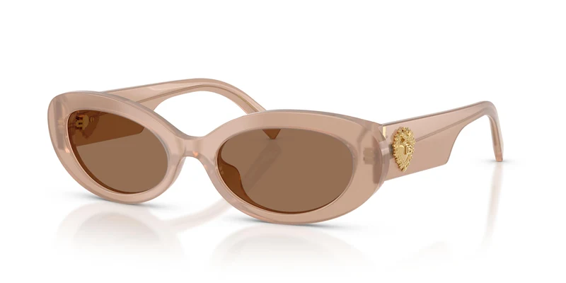 Dolce & Gabbana DG4537 304273 53