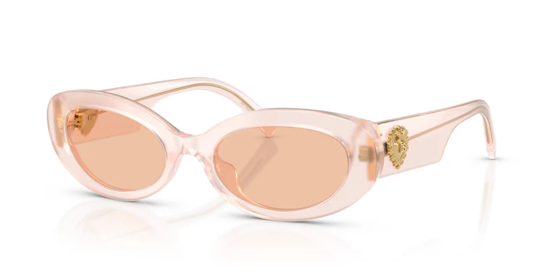 Dolce & Gabbana DG4537 304173 53