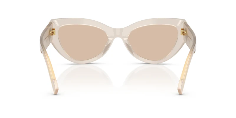 Dolce & Gabbana DG4536 342093 55