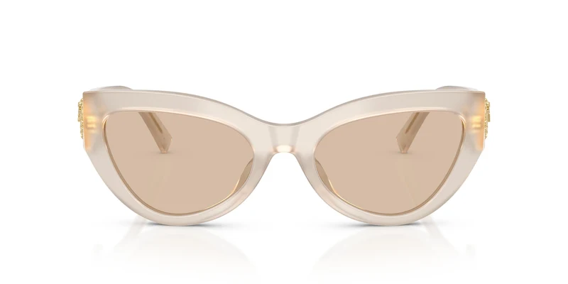 Dolce & Gabbana DG4536 342093 55
