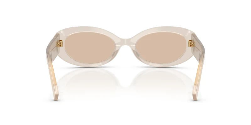 Dolce & Gabbana DG4537 342093 53