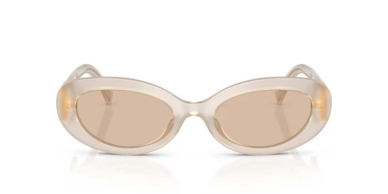 Dolce & Gabbana DG4537 342093 53