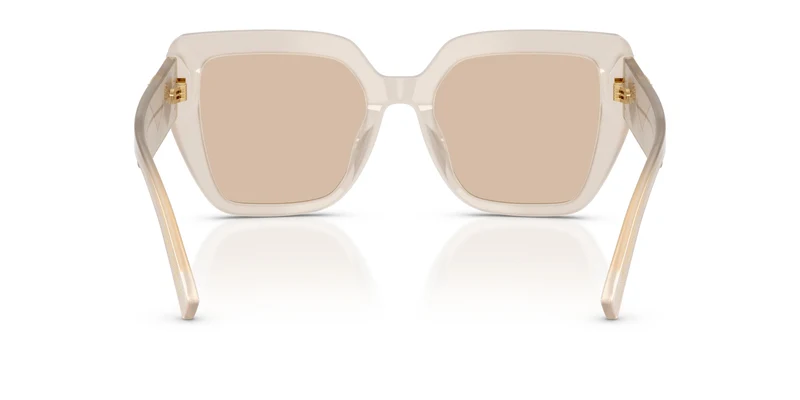 Dolce & Gabbana DG4538 342093 54
