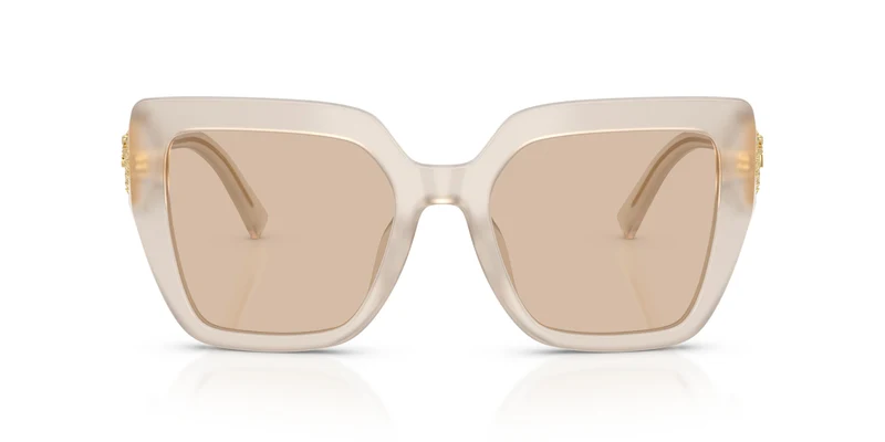 Dolce & Gabbana DG4538 342093 54