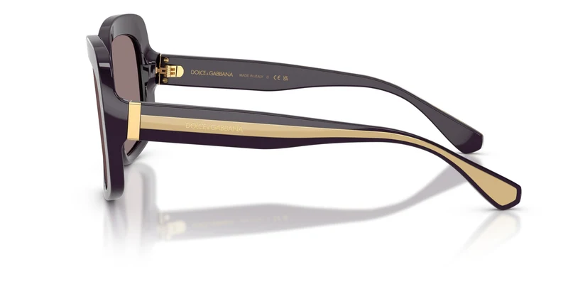 Dolce & Gabbana DG4557 35017N 55