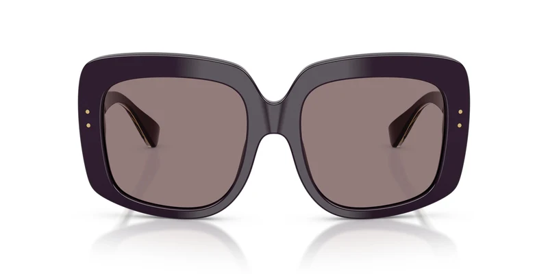 Dolce & Gabbana DG4557 35017N 55