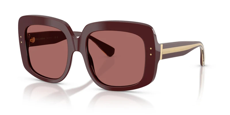 Dolce & Gabbana DG4557 309169 55