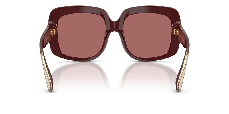 Dolce & Gabbana DG4557 309169 55