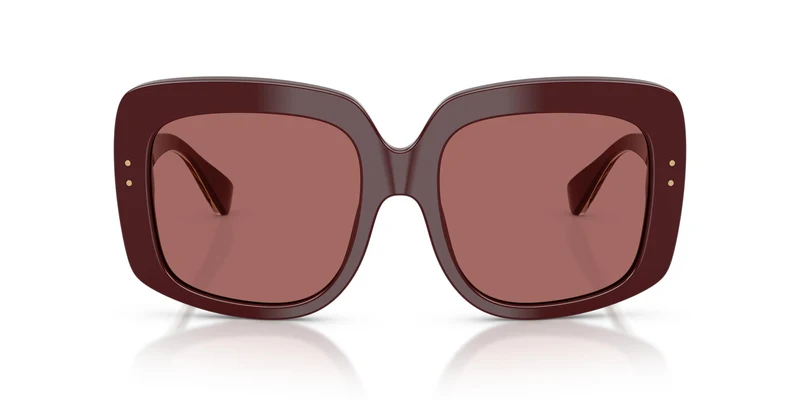 Dolce & Gabbana DG4557 309169 55