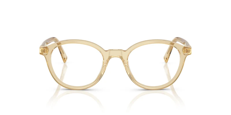 Miu Miu MU 02WV 11T1O1 50