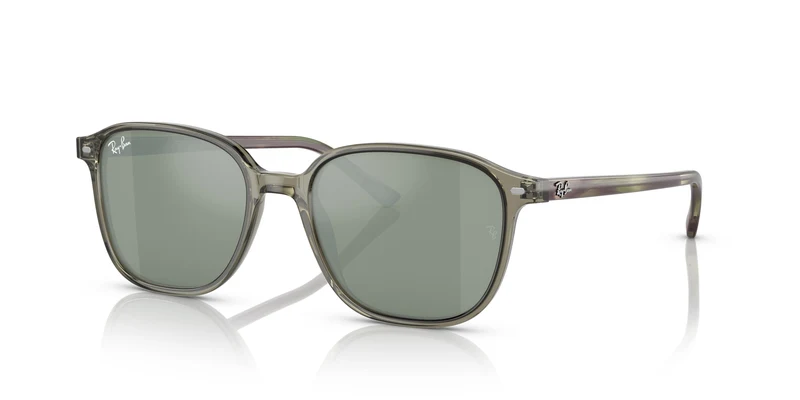 Ray-Ban RB2193 LEONARD 66355C 53