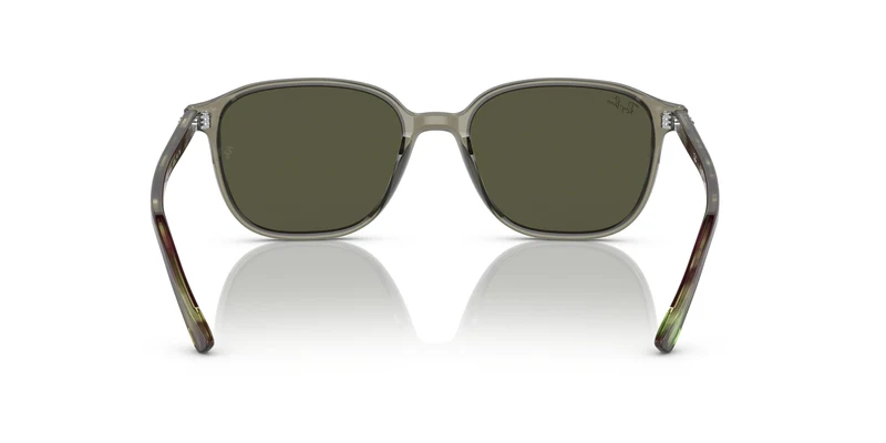 Ray-Ban RB2193 LEONARD 66355C 53