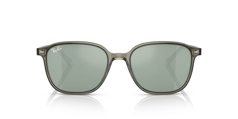 Ray-Ban RB2193 LEONARD 66355C 53