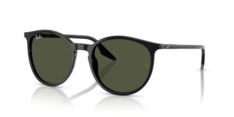Ray-Ban RB2204 901/31 54