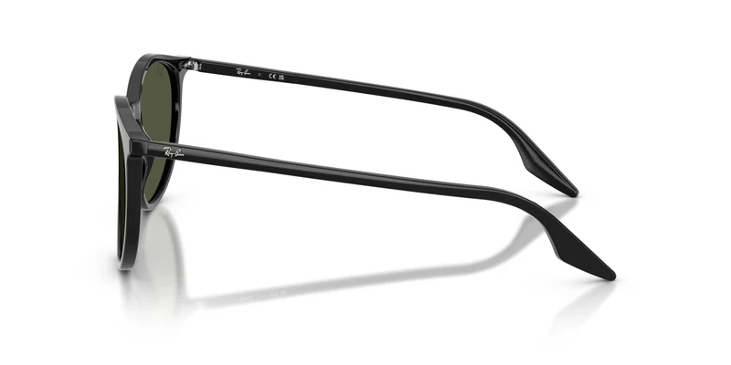Ray-Ban RB2204 901/31 51