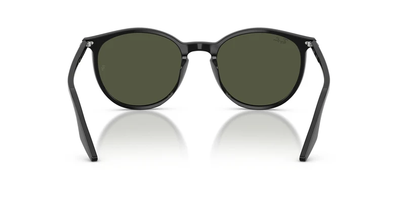 Ray-Ban RB2204 901/31 51