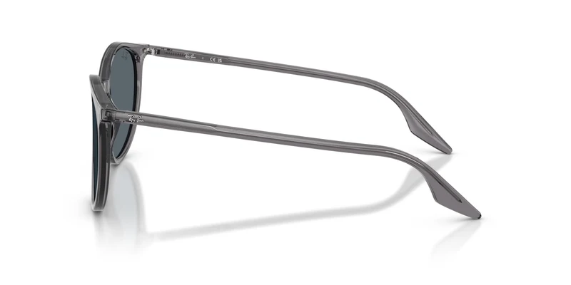 Ray-Ban RB2204 1399R5 54
