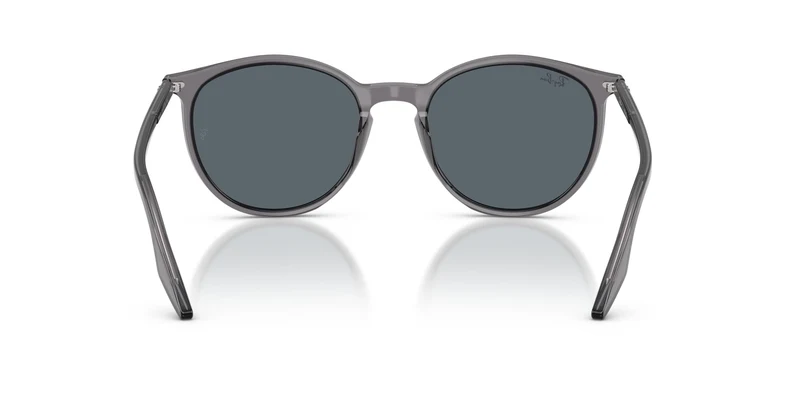 Ray-Ban RB2204 1399R5 54