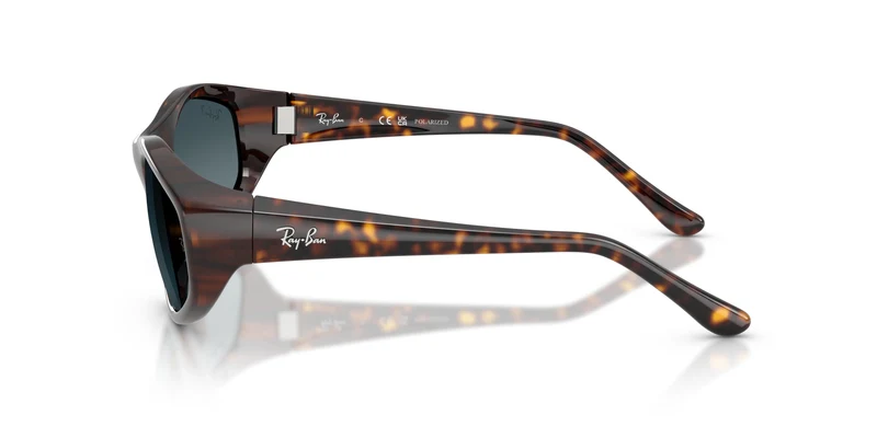 Ray-Ban RB2228 710/S3 59
