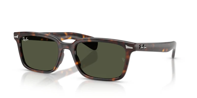 Ray-Ban RB2234 BRUNEL 902/31 56