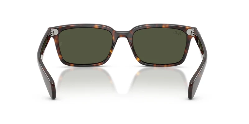 Ray-Ban RB2234 BRUNEL 902/31 56